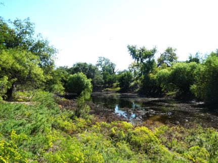 Recreational Property in Donley County, Texas