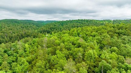 Undeveloped Land in Pike County, Arkansas