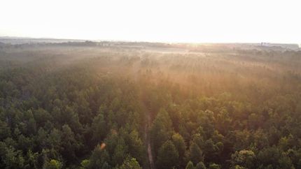 Farm and Ranch in Sumter County, Alabama