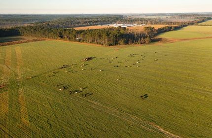 Land in Baldwin County, Alabama