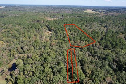 Land in Evans County, Georgia