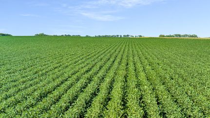 Undeveloped Land in Kingsbury County, South Dakota