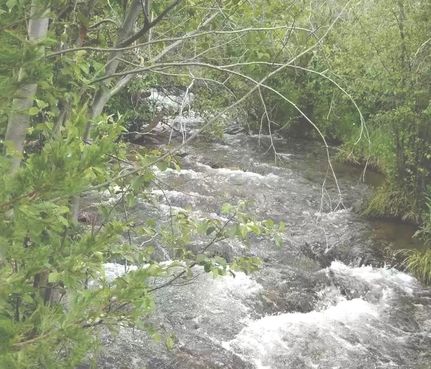 Waterfront Property in Madison County, Montana