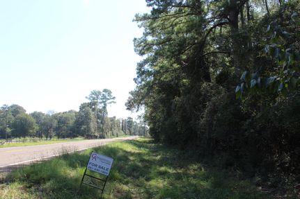 Timberland Property in Grimes County, Texas