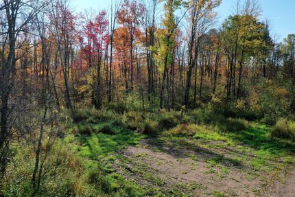 Timberland Property in Taylor County, Wisconsin