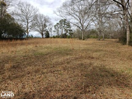 Recreational Property in Pike County, Alabama