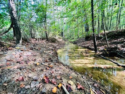 Hunting Property in Prentiss County, Mississippi