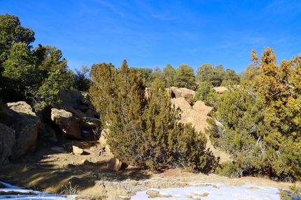 Timberland Property in Huerfano County, Colorado