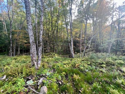 Recreational Property in Oneida County, New York