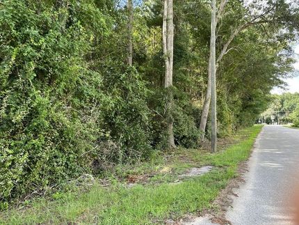 Timberland Property in Hampton County, South Carolina