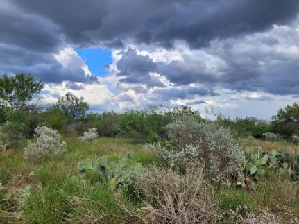 Farm and Ranch in Webb County, Texas