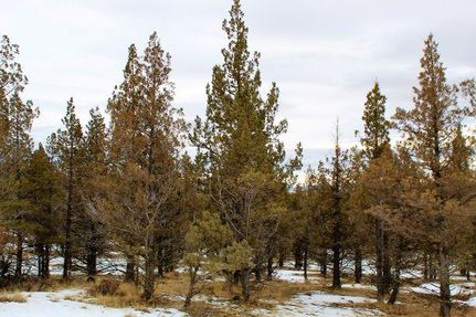 Farm and Ranch for sale in Modoc County, California