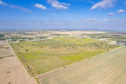 Timberland Property in Hill County, Texas