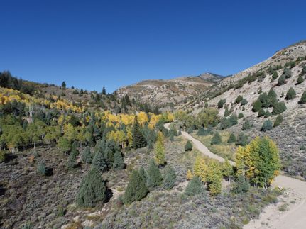 Undeveloped Land in Duchesne County, Utah