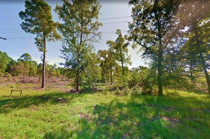 Undeveloped Land in Marion County, Texas