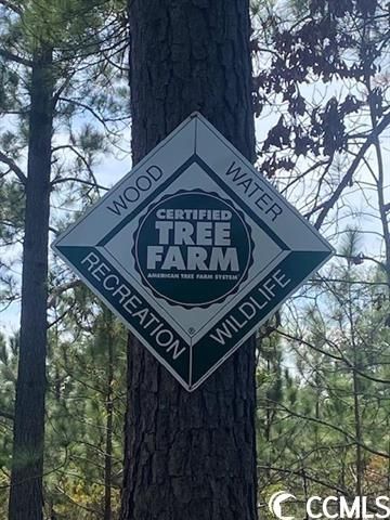 Recreational Property in Marion County, South Carolina