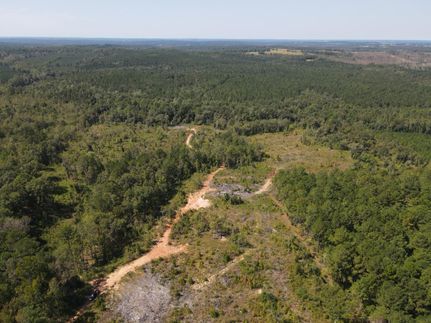 Recreational Property in Henry County, Alabama