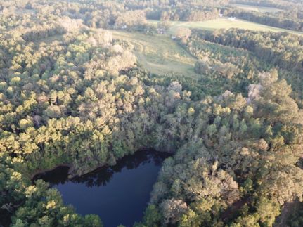 Timberland Property in Coffee County, Alabama