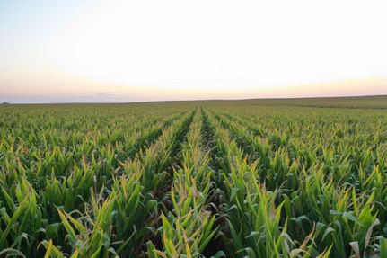 Farm and Ranch in Black Hawk County, Iowa