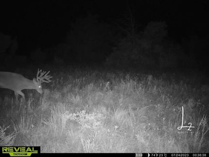Farm and Ranch in Wilson County, Kansas