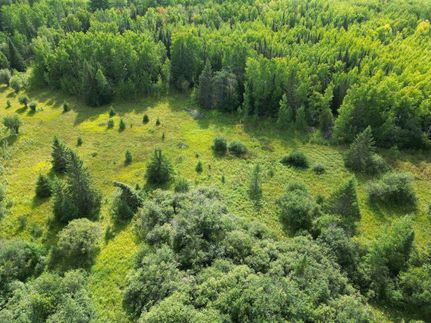 Undeveloped Land in Saint Louis County, Minnesota