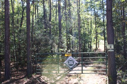Timberland Property in Yalobusha County, Mississippi