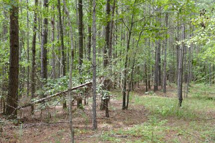 Recreational Property in Coosa County, Alabama