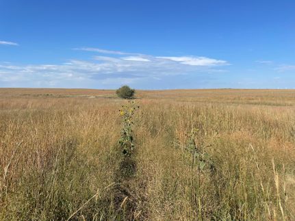Farm and Ranch in Kingman County, Kansas