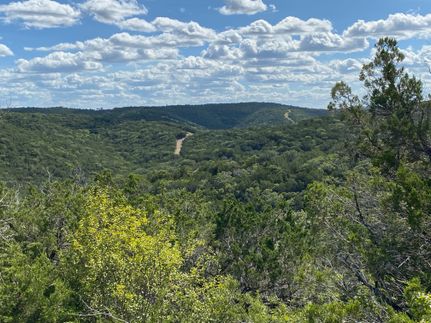 Timberland Property in Real County, Texas