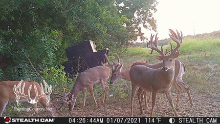 Riverfront Property in Seminole County, Oklahoma