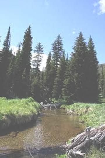 Waterfront Property in Madison County, Montana