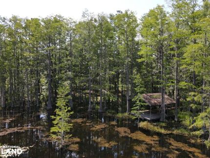 Undeveloped Land in Washington County, Florida