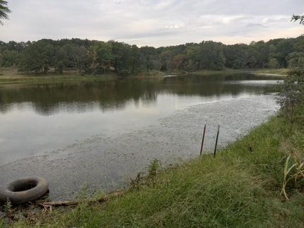 Timberland Property in Seminole County, Oklahoma