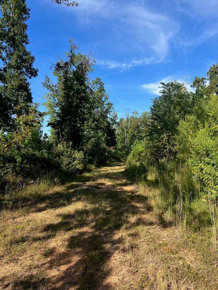 Recreational Property in Perry County, Tennessee