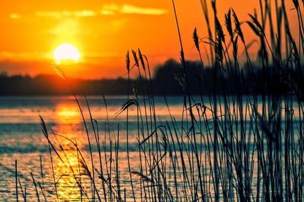 Undeveloped Land in Izard County, Arkansas