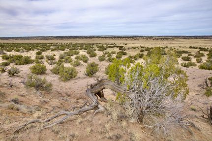 Undeveloped Land in Apache County, Arizona