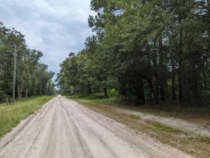 Undeveloped Land in Suwannee County, Florida