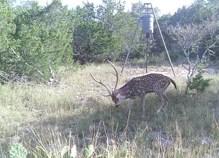 Farm and Ranch in Edwards County, Texas