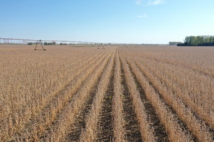 Land in Dickey County, North Dakota