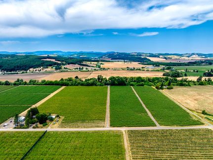 Undeveloped Land in Yamhill County, Oregon