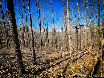 Farm and Ranch in Benton County, Missouri
