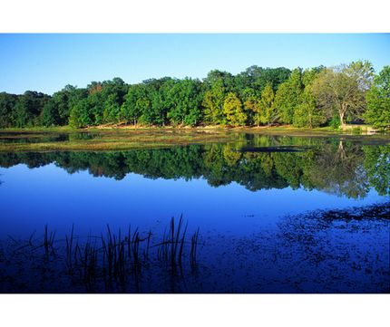 Undeveloped Land in Izard County, Arkansas