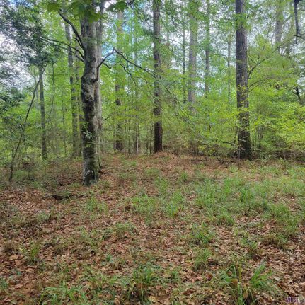 Land in West Feliciana Parish, Louisiana