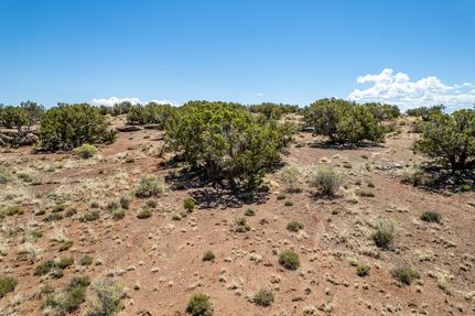 Undeveloped Land in Apache County, Arizona
