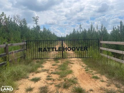 Lakefront Property in Hale County, Alabama