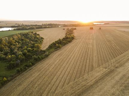 Undeveloped Land in Lafayette County, Missouri