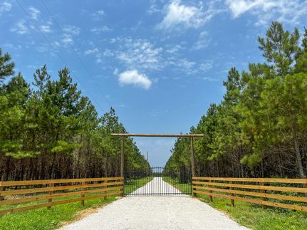 Timberland Property in Polk County, Texas