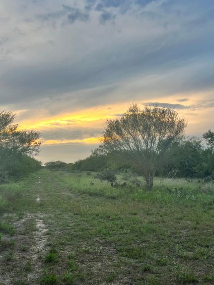 House in Duval County, Texas