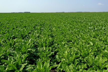 Land in Cass County, North Dakota