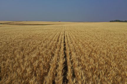 Land in Divide County, North Dakota